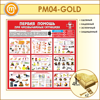       (PM-04-GOLD)